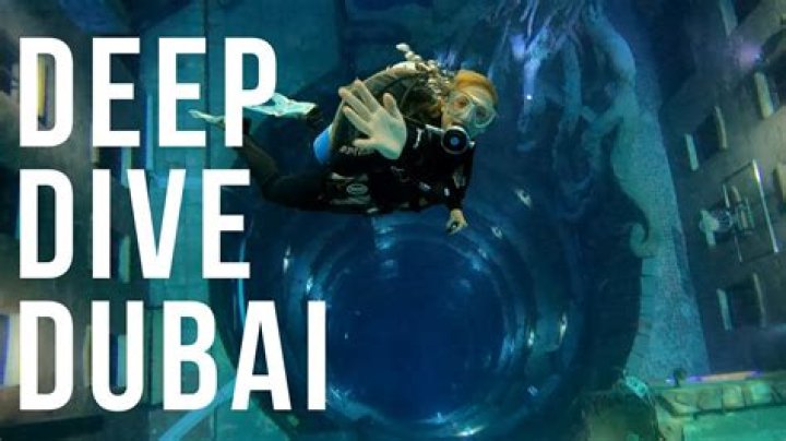Dive Into The World Of Zip Codes